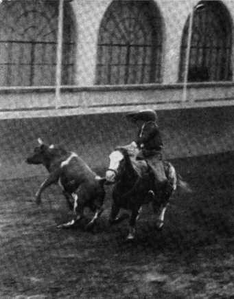 В погоне за Мексикой - img_25.jpg