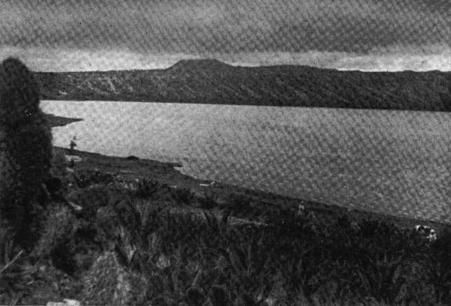 В погоне за Мексикой - img_32.jpg