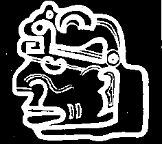 В погоне за Мексикой - img_36.png