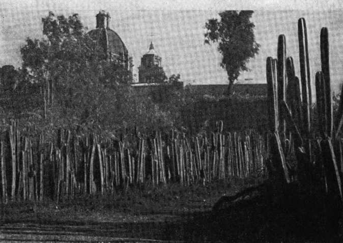 В погоне за Мексикой - img_40.jpg