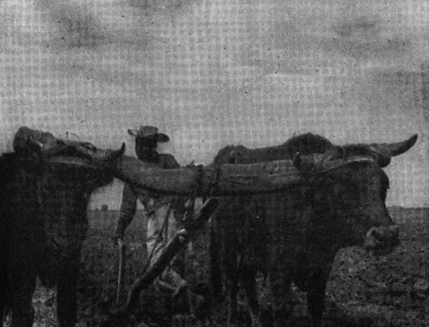 В погоне за Мексикой - img_41.jpg