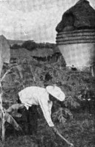 В погоне за Мексикой - img_42.jpg