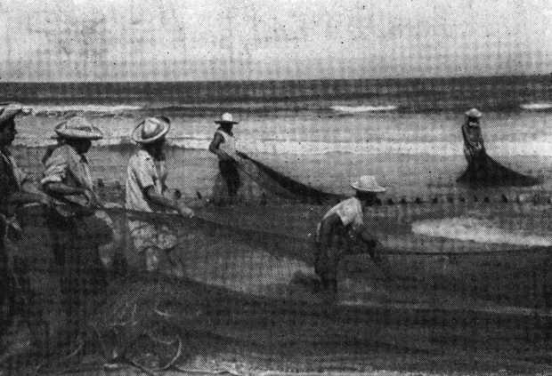 В погоне за Мексикой - img_43.jpg