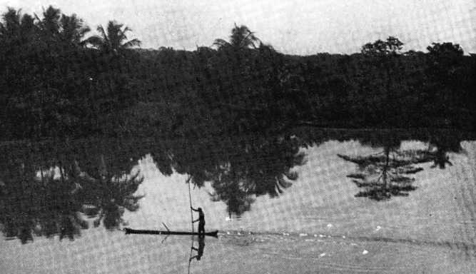 В погоне за Мексикой - img_46.jpg