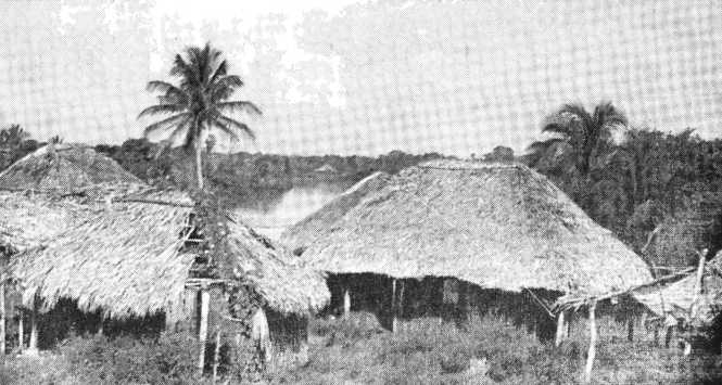 В погоне за Мексикой - img_47.jpg