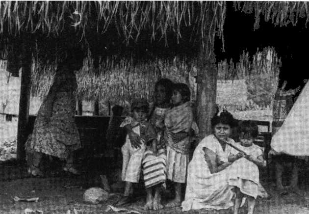 В погоне за Мексикой - img_48.jpg