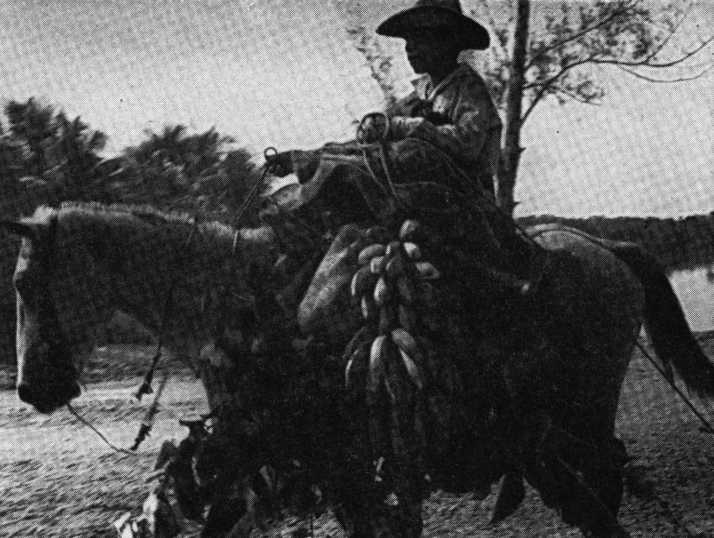 В погоне за Мексикой - img_55.jpg