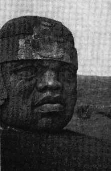 В погоне за Мексикой - img_58.jpg