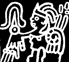 В погоне за Мексикой - img_79.png