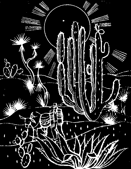 В погоне за Мексикой - img_81.png