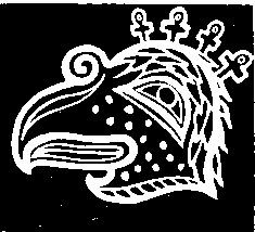 В погоне за Мексикой - img_82.png