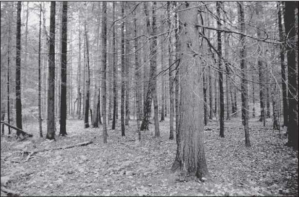 Места силы на карте России - i_002.jpg