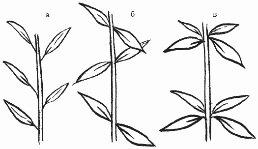 Борьба с сорняками - i_002.png