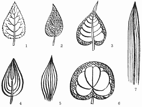 Борьба с сорняками - i_005.png