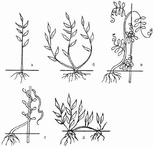 Борьба с сорняками - i_006.png