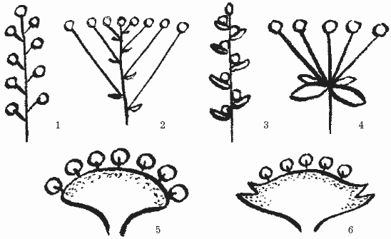 Борьба с сорняками - i_010.png