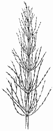 Борьба с сорняками - i_014.png