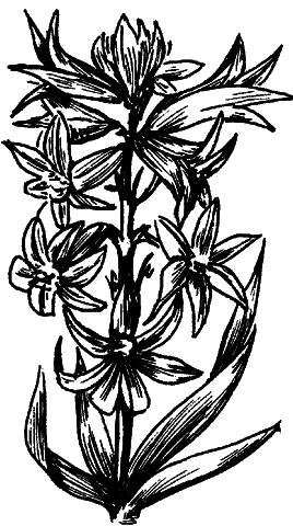 Дизайн участка - _09.png