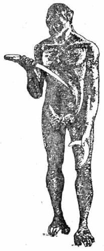 Следы невиданных зверей - i_029.jpg