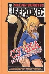  Берджес Мелвин - Сучка по прозвищу Леди