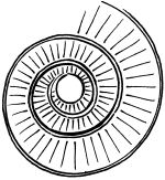 Биоритмы, или Как стать здоровым - _06.png