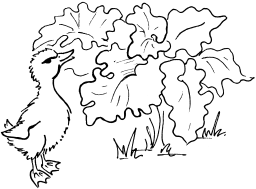 Биоритмы, или Как стать здоровым - _08.png