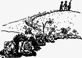 Перевернутое дерево - image20.png