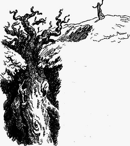 Перевернутое дерево - image5.png