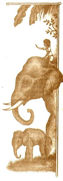 Робинзоны из Бомбея - i_015.jpg