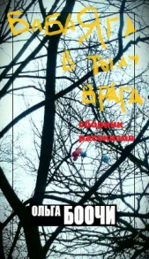  Боочи Ольга - Баба Яга в тылу врага (сборник рассказов) (СИ)