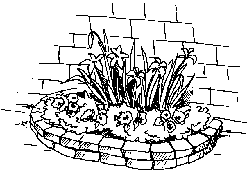 Хризантемы, астры, георгины и другие осенние цветы - _006.png