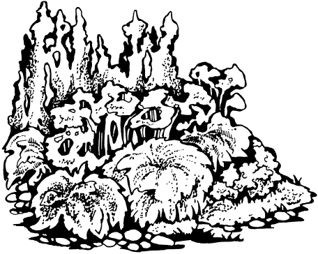 Цветники в схемах - _06.png