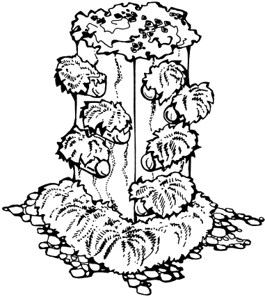 Цветники в схемах - _16.png