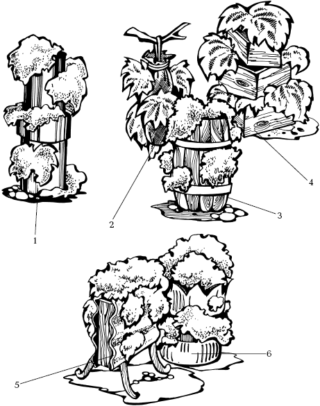 Цветники в схемах - _17.png