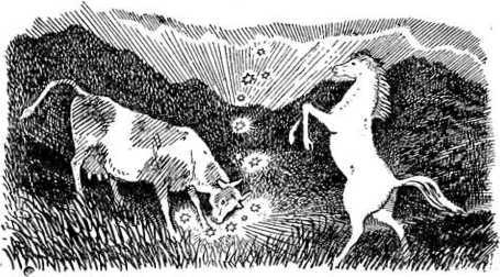 Алтайские сказки - i_016.jpg