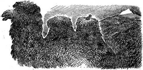 Алтайские сказки - i_027.jpg