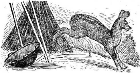 Алтайские сказки - i_041.jpg