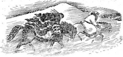 Алтайские сказки - i_043.jpg