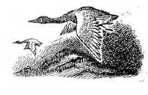 Алтайские сказки (другое издание) - _4.jpg