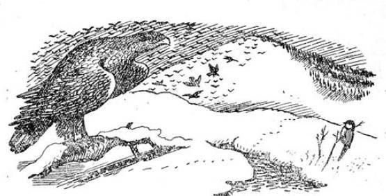 Алтайские сказки (другое издание) - _41.jpg