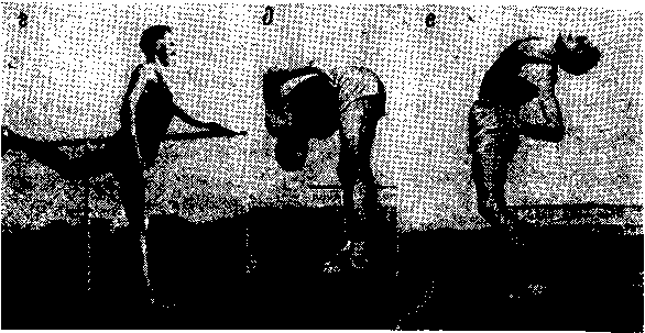 Бег к вершинам мастерства - img_7.png