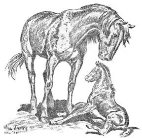 Дымка - i_002.jpg