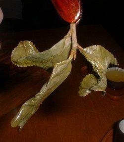 Заваривание чая - i_030.jpg