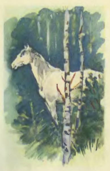 Как ищут то, что в земле лежит - i_015.jpg