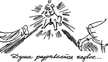 400 советов любителю собак - i_145.png