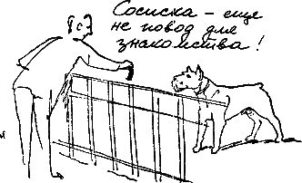 400 советов любителю собак - i_154.png