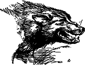 400 советов любителю собак - i_158.png