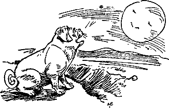 400 советов любителю собак - i_161.png