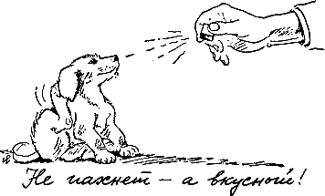 400 советов любителю собак - i_165.png