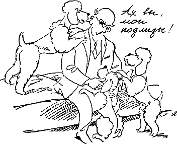 400 советов любителю собак - i_176.png